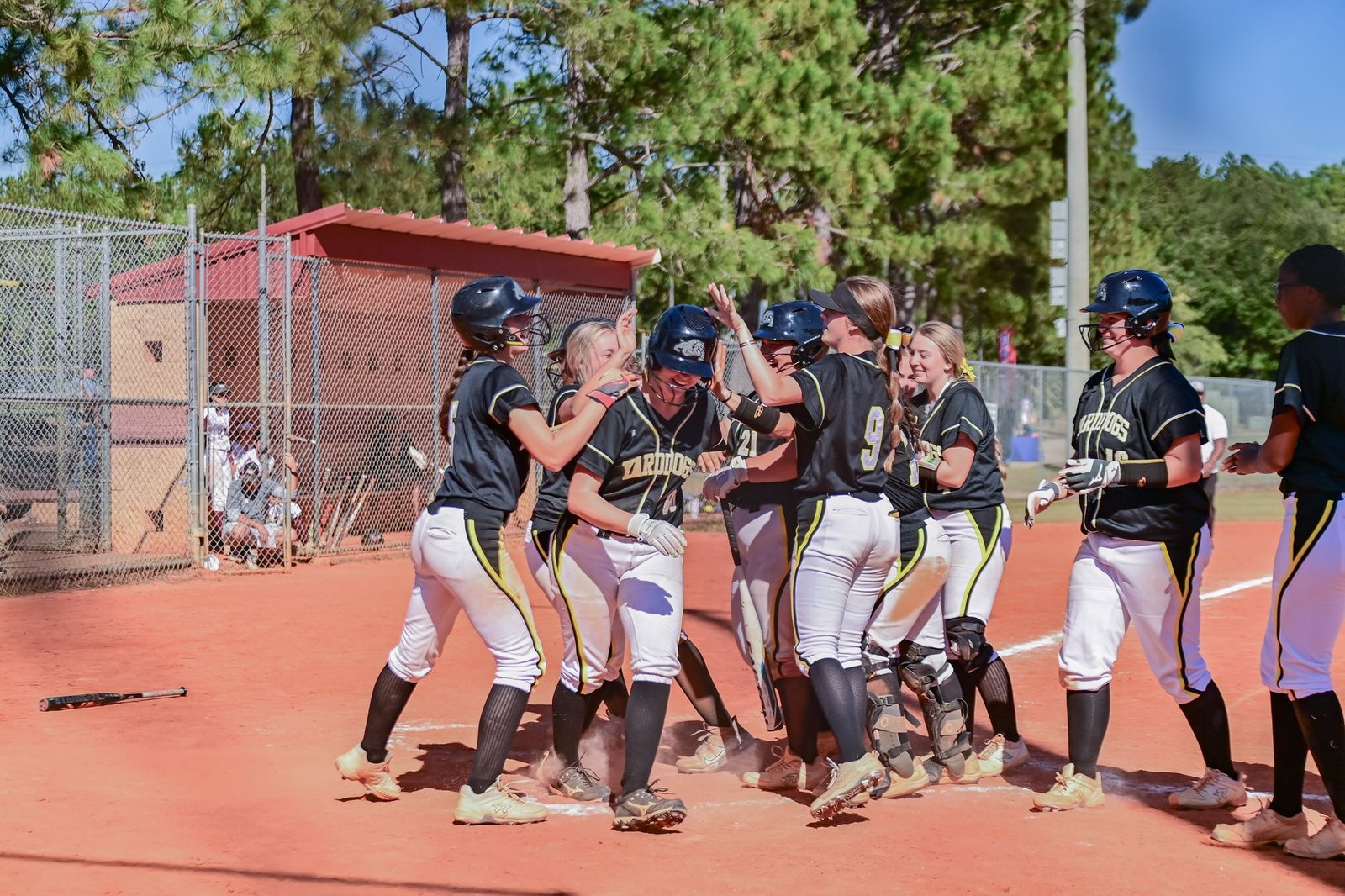 baseball home run celebration