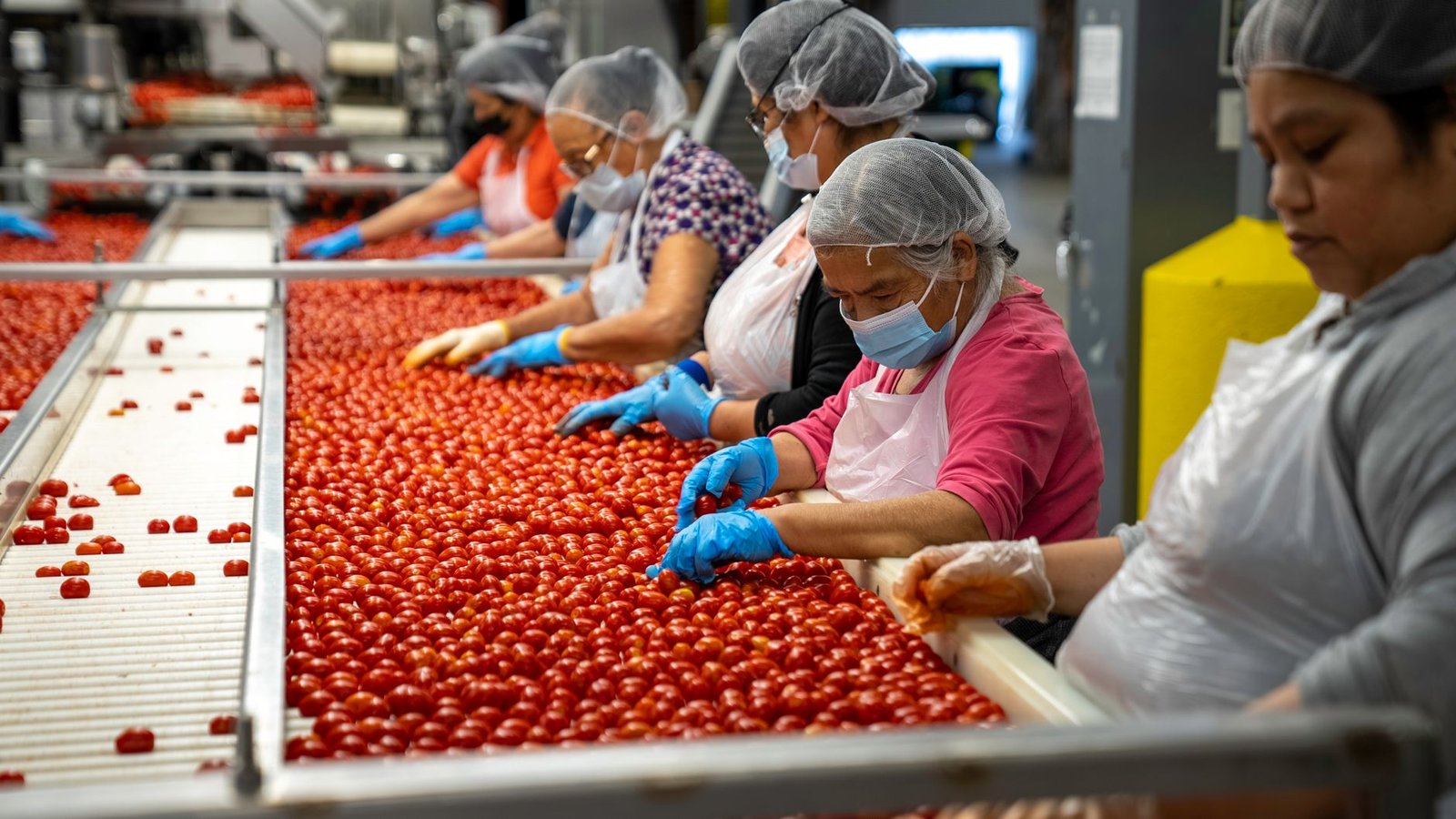 food safety inspection produce