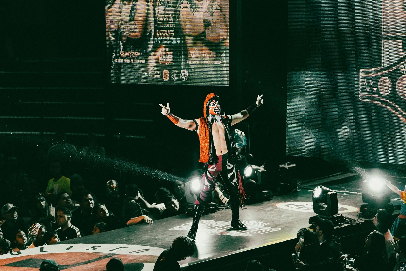WWE wrestling celebrity match